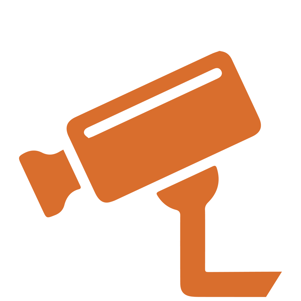 videosorveglianza_ascani