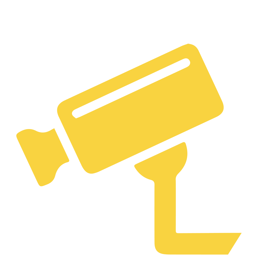 videosorveglianza_ascani_on